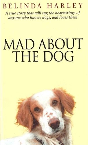 Cover image for Mad About the Dog