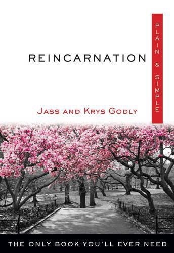 Cover image for Reincarnation, Plain & Simple: The Only Book You'Ll Ever Need