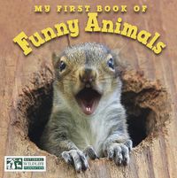 Cover image for My First Book of Funny Animals (National Wildlife Federation)