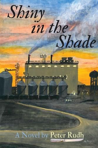 Cover image for Shiny in the Shade