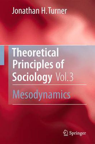 Cover image for Theoretical Principles of Sociology, Volume 3: Mesodynamics