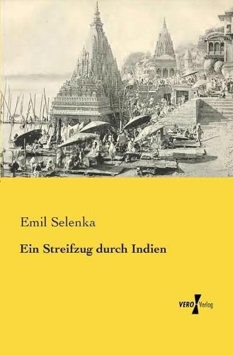 Cover image for Ein Streifzug durch Indien