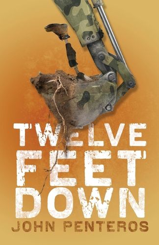 Cover image for Twelve Feet Down