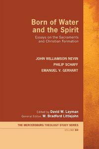Cover image for Born of Water and the Spirit: Essays on the Sacraments and Christian Formation