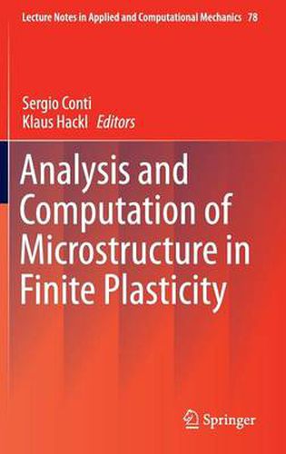 Cover image for Analysis and Computation of Microstructure in Finite Plasticity