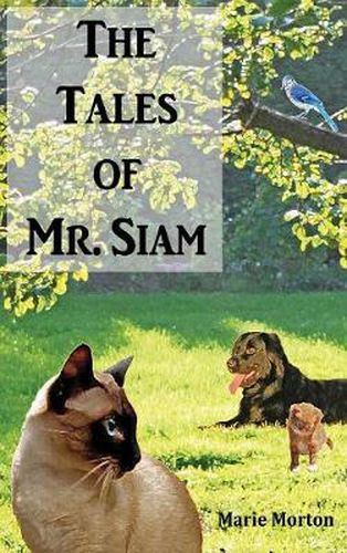 Cover image for The Tales of Mr. Siam