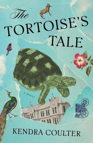Cover image for The Tortoise's Tale