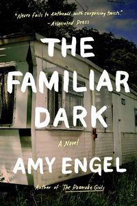 Cover image for The Familiar Dark: A Novel