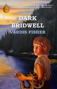 Cover image for Dark Bridwell