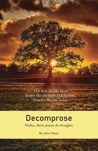 Cover image for Decomprose