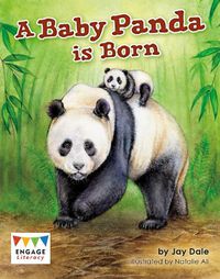 Cover image for A Baby Panda is Born
