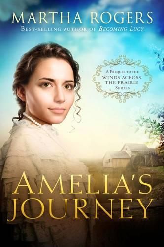 Cover image for Amelia's Journey