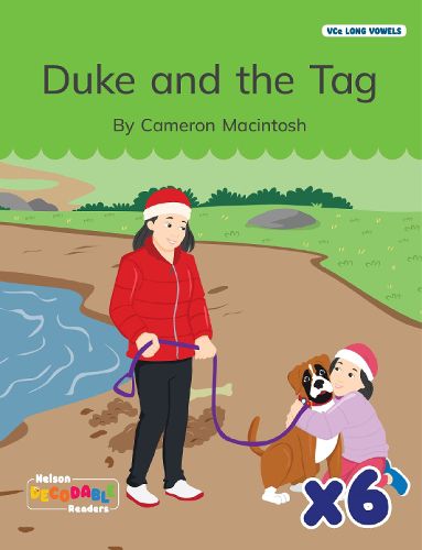 Cover image for Duke and the Tag x 6 (VCe Long Vowels)