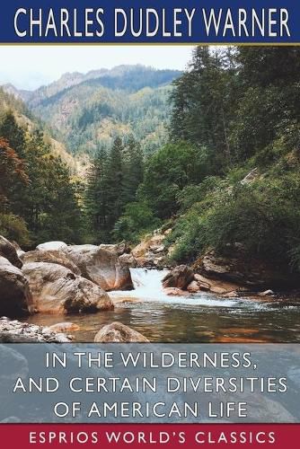 Cover image for In the Wilderness, and Certain Diversities of American Life (Esprios Classics)