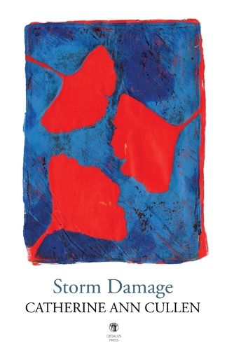 Cover image for Storm Damage