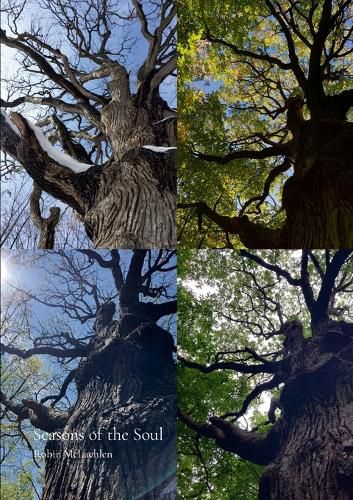 Cover image for Seasons of the Soul