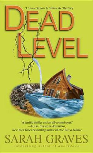 Cover image for Dead Level: A Home Repair Is Homicide Mystery