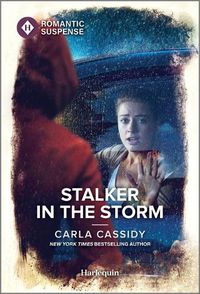 Cover image for Stalker in the Storm