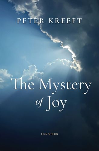 Cover image for The Mystery of Joy