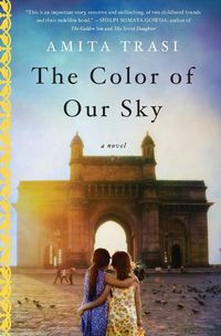 Cover image for The Color of Our Sky: A Novel