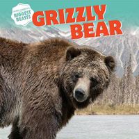 Cover image for Grizzly Bear