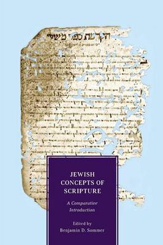 Cover image for Jewish Concepts of Scripture: A Comparative Introduction