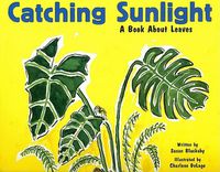 Cover image for Catching Sunlight: A Book About Leaves