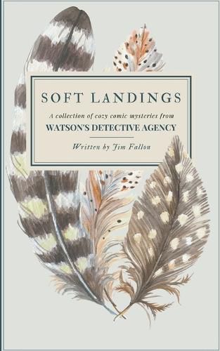 Cover image for Soft Landings