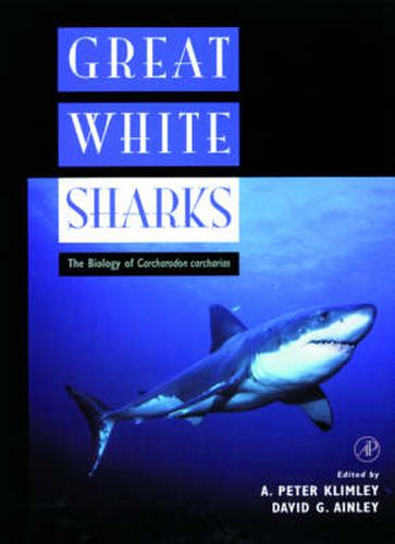 Great White Sharks: The Biology of Carcharodon carcharias