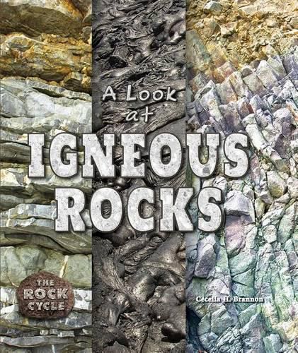 Cover image for A Look at Igneous Rocks