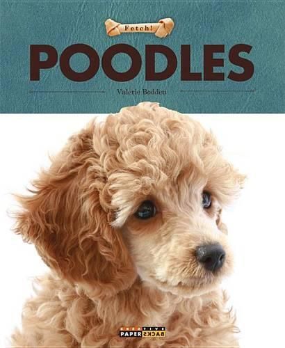 Cover image for Poodles