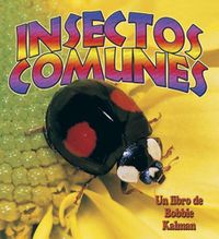 Cover image for Insectos Comunes