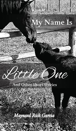 Cover image for My Name Is Little One