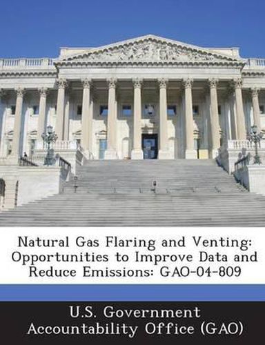 Cover image for Natural Gas Flaring and Venting