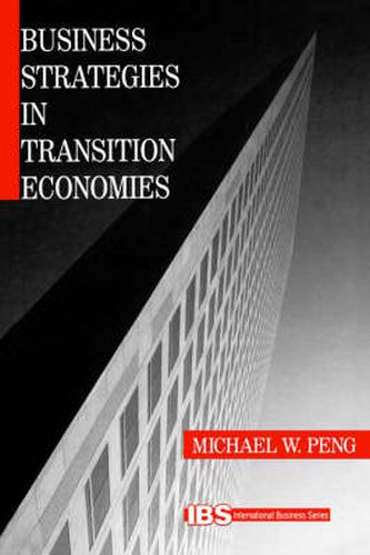 Cover image for Business Strategies in Transition Economies