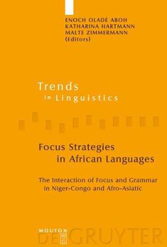 Cover image for Focus Strategies in African Languages: The Interaction of Focus and Grammar in Niger-Congo and Afro-Asiatic