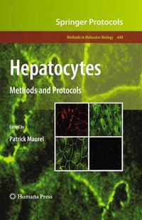 Cover image for Hepatocytes: Methods and Protocols