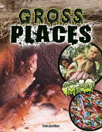 Cover image for Gross Places