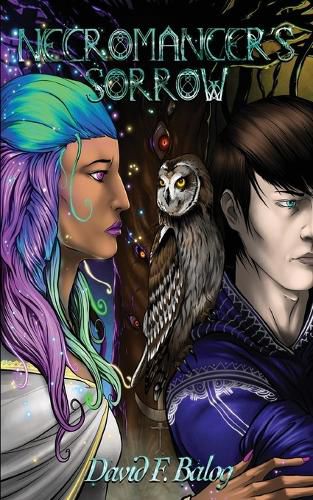 Cover image for Necromancer's Sorrow