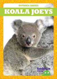 Cover image for Koala Joeys