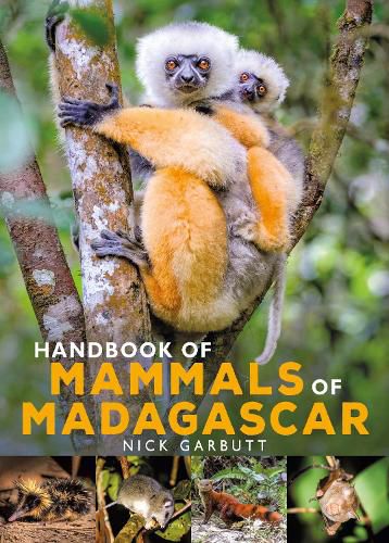 Cover image for Handbook of Mammals of Madagascar