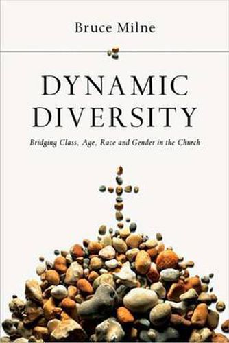 Cover image for Dynamic Diversity: Bridging Class, Age, Race and Gender in the Church