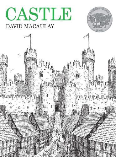 Cover image for Castle