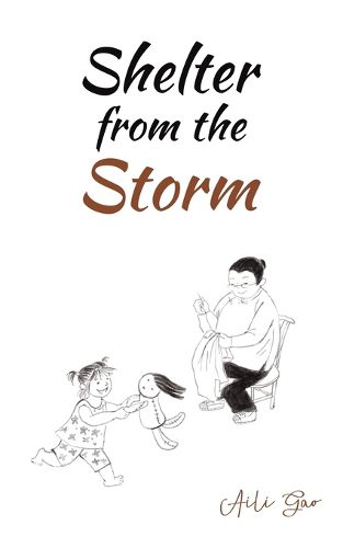 Cover image for Shelter from the Storm