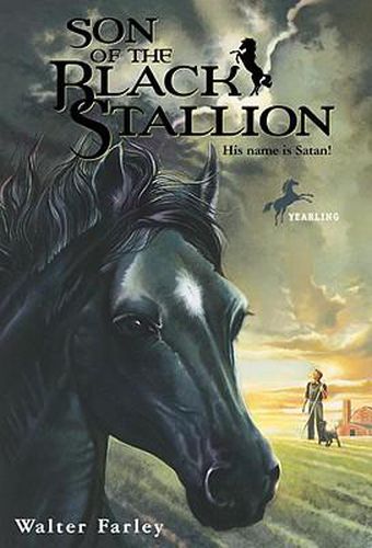 Cover image for Son of the Black Stallion