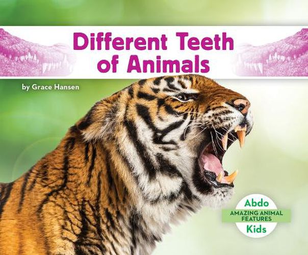 Cover image for Different Teeth of Animals