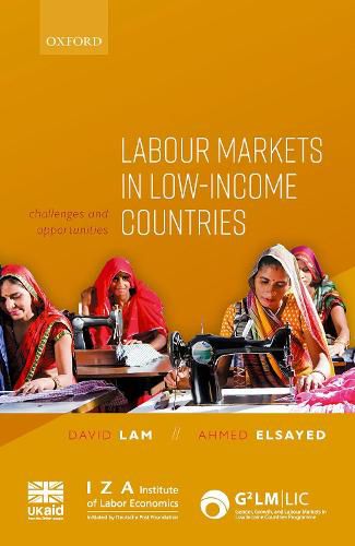 Cover image for Labour Markets in Low-Income Countries: Challenges and Opportunities