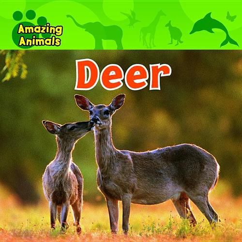 Cover image for Deer