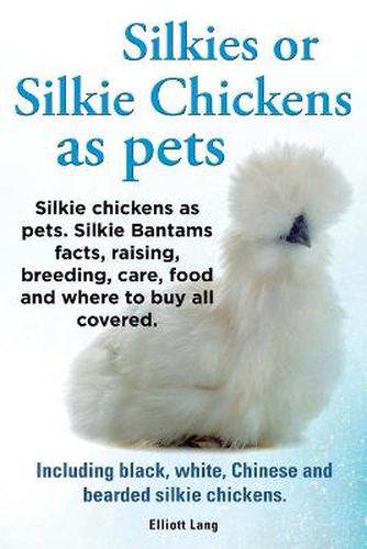 Cover image for Silkies or Silkie Chickens as Pets. Silkie Bantams Facts, Raising, Breeding, Care, Food and Where to Buy All Covered. Including Black, White, Chinese and Bearded Silkie Chickens.