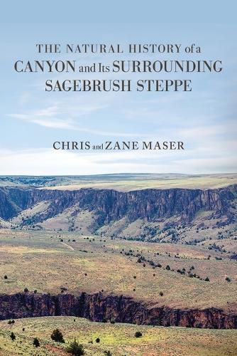 Cover image for The Natural History of a Canyon and Its Surrounding Sagebrush Steppe